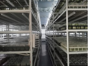 遼寧植物研究所