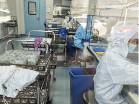 昆明植物組培室